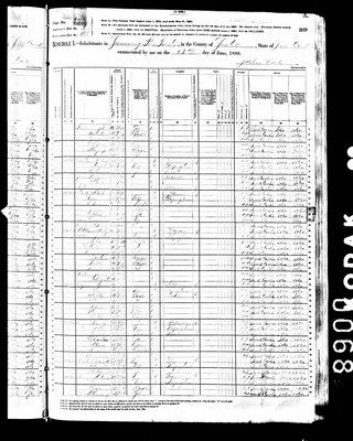 1880, Artemus Josey B Sumter Co SC.jpg