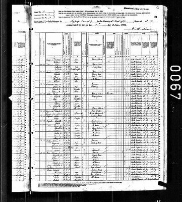 1880, Elizabeth A Josey, Darlington Co SC.jpg