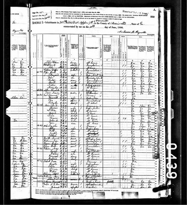 1880, Harriet Jossey Williams, Meriwether Co GA.jpg