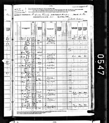1880, Harriet L Jossey Gunter Halifax Co NC.jpg