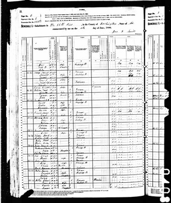 1880, Harriet Virginia Josey Waters Washington Co GA.jpg