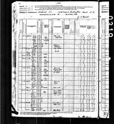 1880, Hattie Josey B, Darlington Co SC.jpg
