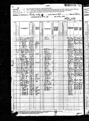 1880, Ivey Josey, Nye Co NV.jpg