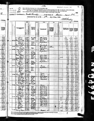 1880, Lizzie Josey, Rowan Co NC, col.jpg