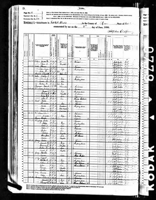1880, Louvinia Josey, Rowan Co NC.jpg