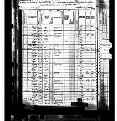 1880, Mary Josey Brown, Miller Co AR.jpg