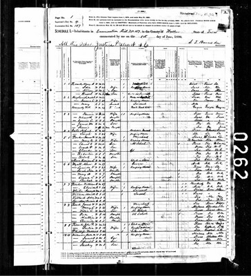 1880, Mary Josey Roark Walker Co TX.jpg