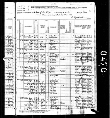 1880, Mary Josey, Austin Co TX.jpg