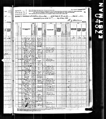 1880, Mary L Josey, Iredell Co NC.jpg