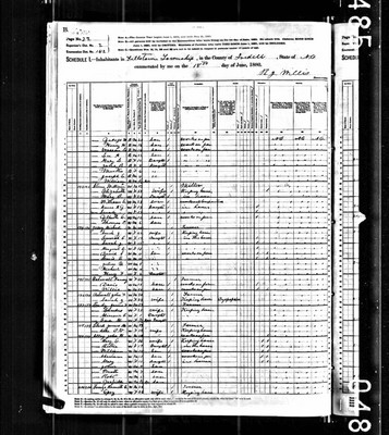 1880, Michael Josey, Iredell Co NC.jpg