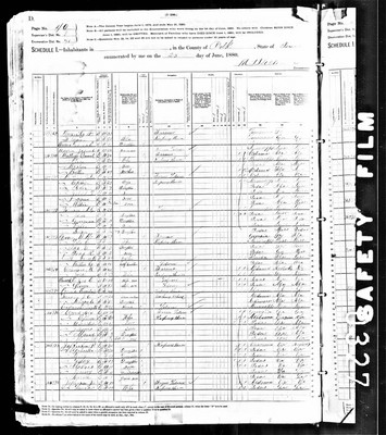 1880, Nancy Josey Feagin, Polk Co TX.jpg