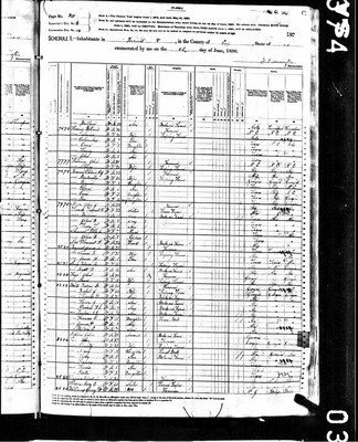 1880, Rebecca Josey Long, Cass Co TX.jpg