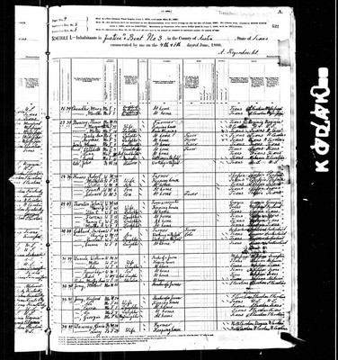 1880, Robert Josey, Austin Co TX, col.jpg