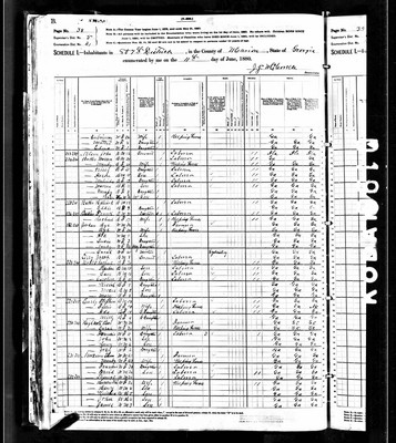 1880, Sarah Jossey Highnote Marion Co GA.jpg