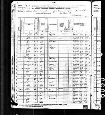 1880, Sye Josey, Darlington Co SC, col.jpg