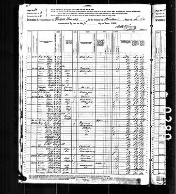 1880, Thomas J Josey, Kershaw Co SC.jpg