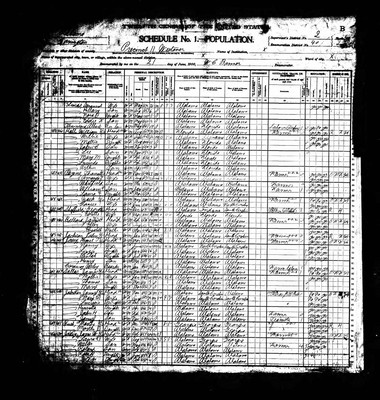 1900, Daniel Thomas Josey, Covington Co AL.jpg