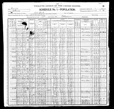 1900, Elizabeth Josey Farrell, Tattnall Co GA.jpg