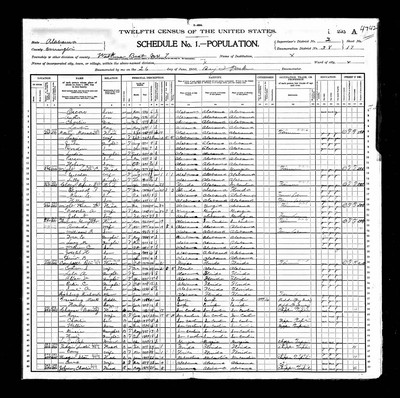 1900, Elizabeth Josey Martin, Covington Co AL.jpg