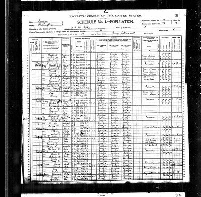 1900, Everett Jackson Josey, Washington Co GA.jpg