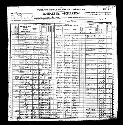 1900, John Frank Josey, Dooly Co GA.jpg