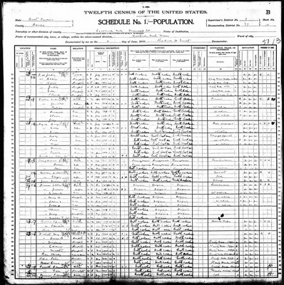 1900, Josephine Josey Darden, Halifax Co NC.jpg