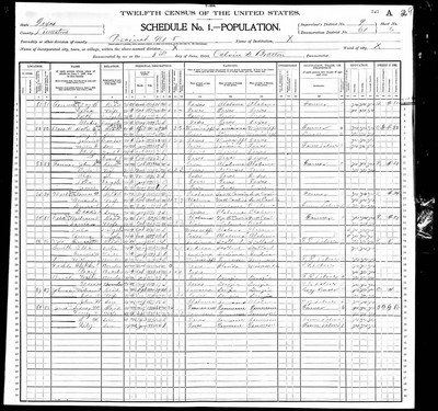 1900, Louisa Josey Dees, Limestone Co TX.jpg