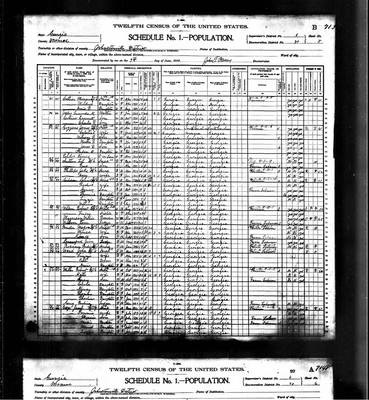 1900, Lucinda M Brown Jossey, Monroe Co GA.jpg