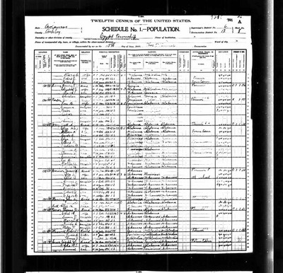 1900, Matt A Josey Ashley Co AR.jpg