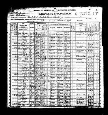1900, Nancy Josey Solomon, Crenshaw Co AL.jpg