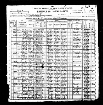 1900, Nancy Peavy Josey, Dooly Co GA.jpg