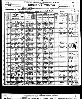 1900, Rebecca Josey Long, Cass Co TX.jpg