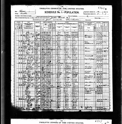 1900, Robert Josey, Austin Co TX, col.jpg