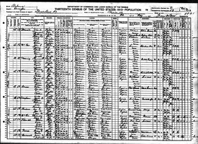 1910, Amanda Josey Banister Covington Co AL.jpg