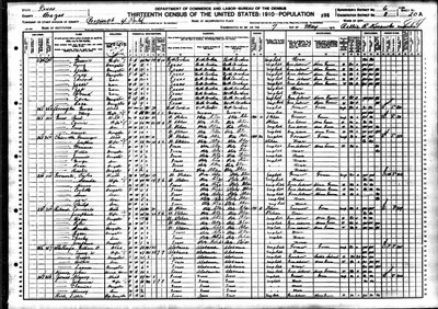 1910, Emily Josey Stallings, Brazos Co TX.jpg