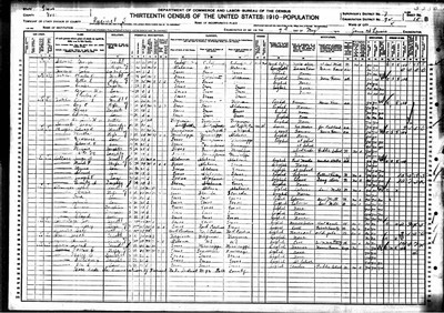 1910, Maude Josey Sellars, Polk Co TX.jpg