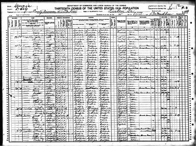 1910, Nancy Josey Parker Dooly Co GA.jpg