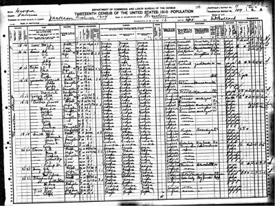 1910, Noah Washington Josey Laurens Co GA.jpg