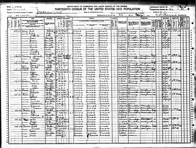 1910, Robert Waldo Josey Laurens Co GA.jpg