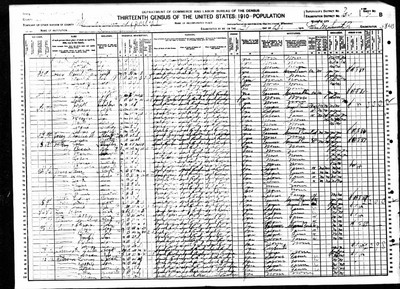 1910, Susan Floyd Josey, Lee Co SC.jpg