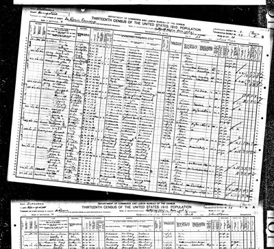 1910, William Josey, Hempstead Co AR.jpg