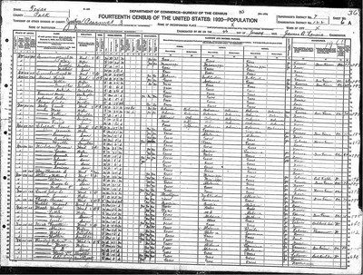 1920, Alice Josey Sterling, Polk Co TX.jpg