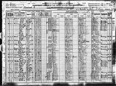 1920, Andrew Monroe Josey Fisher Co TX.jpg