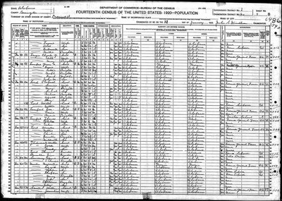 1920, Elizabeth Josey Martin, Covington Co AL.jpg