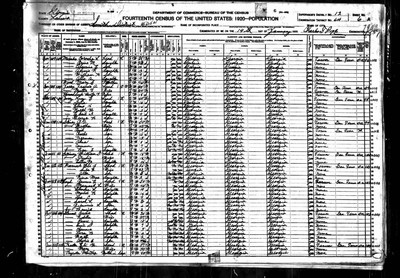 1920, Francis A Josey, Laurens Co GA.jpg