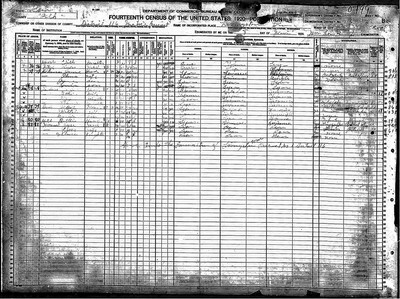 1920, Hattie Josey Drew, Polk Co TX.jpg