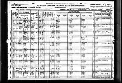 1920, Hattie Louise Josey Moye, Washington Co GA.jpg