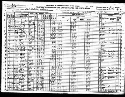 1920, Hickman Abram Josey, Dooly Co GA.jpg