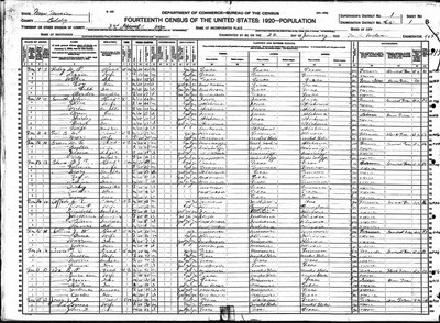 1920, John Dupuy Josey, Eddy Co NM.jpg