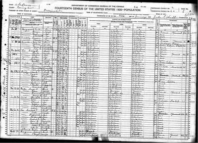 1920, Martha Josey Lee Covington Co AL.jpg